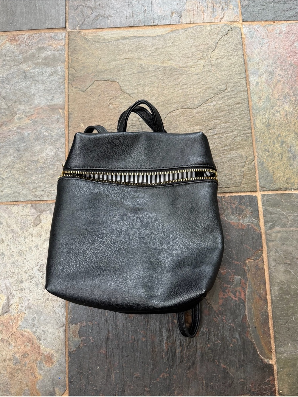 Compact Black Women's Backpack with Gold-Tone Zip Detail